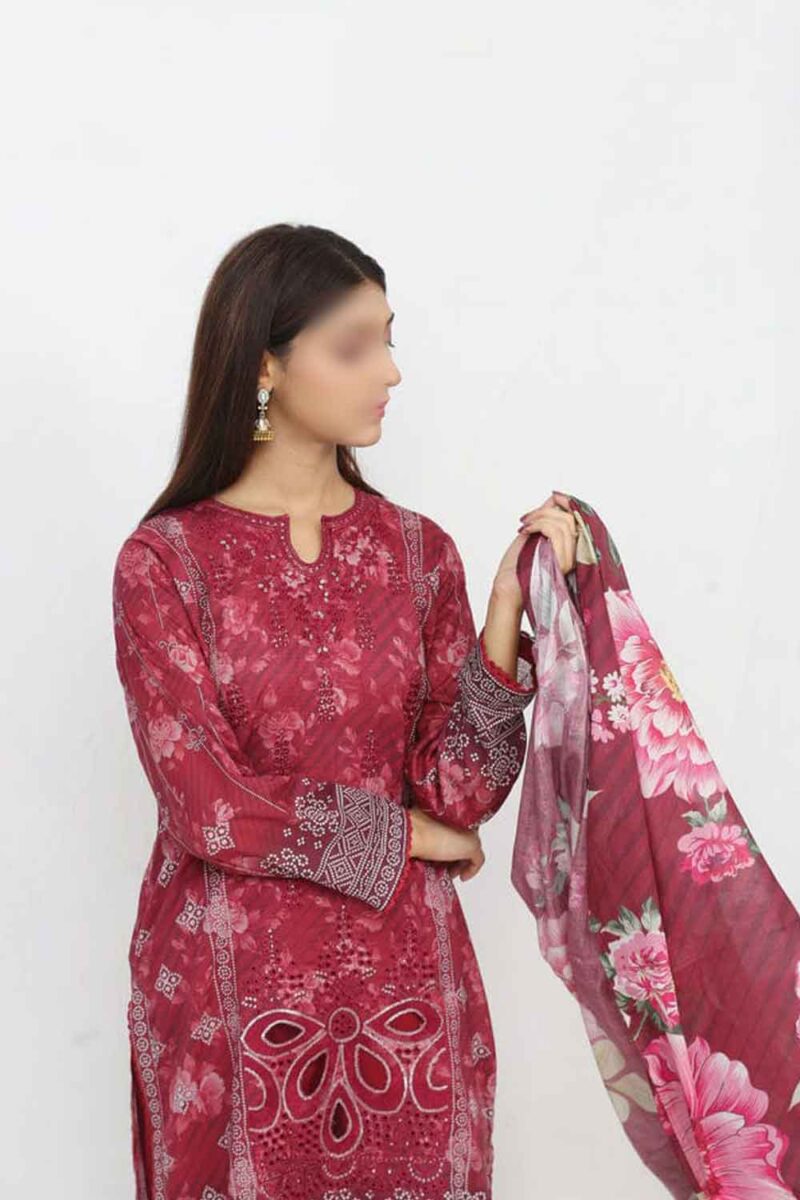 Ronaq By Anaya Noor Emb 3PC