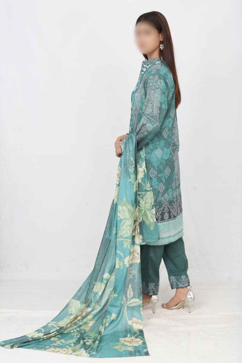 Ronaq By Anaya Noor Emb 3PC