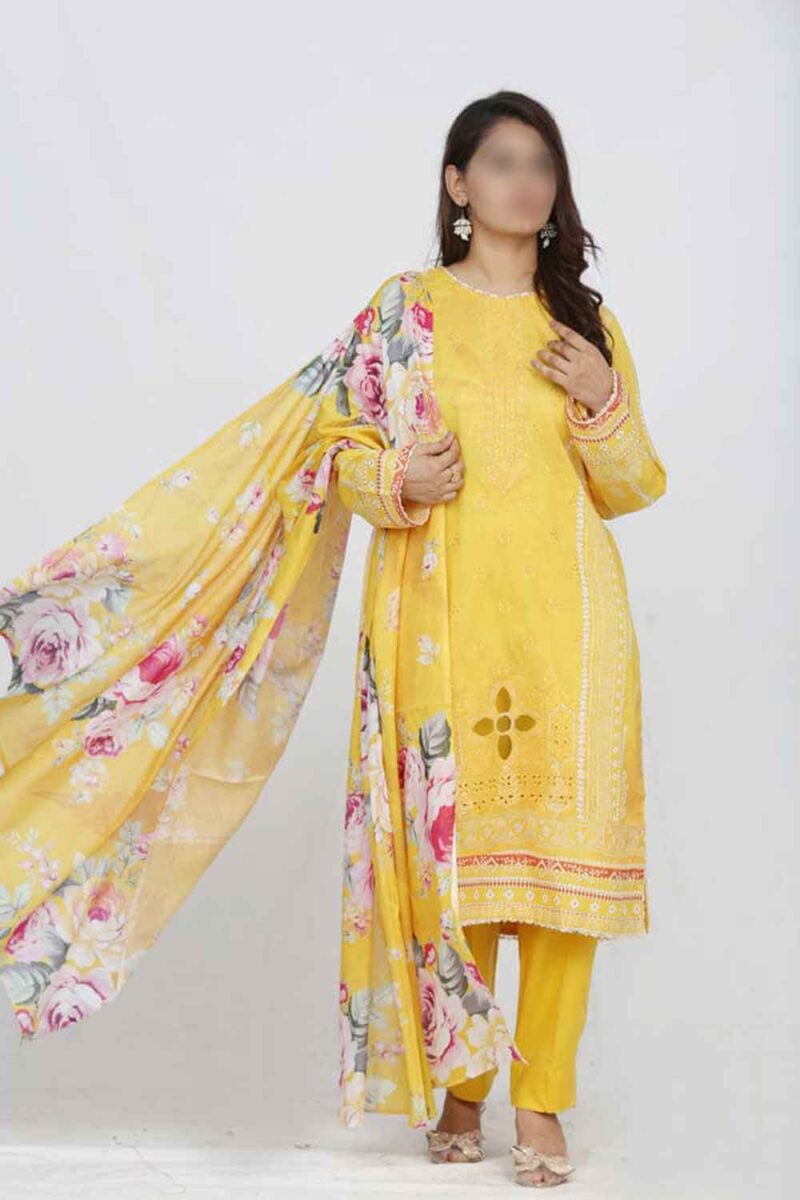 Ronaq By Anaya Noor Emb 3PC